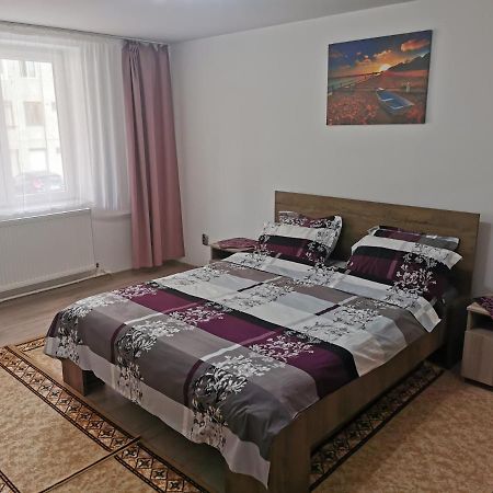 Apartament Bucovina Câmpulung Moldovenesc Exterior foto