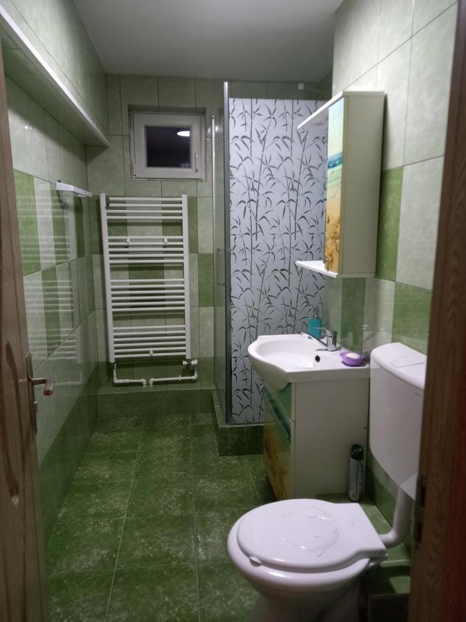 Apartament Bucovina Câmpulung Moldovenesc Exterior foto
