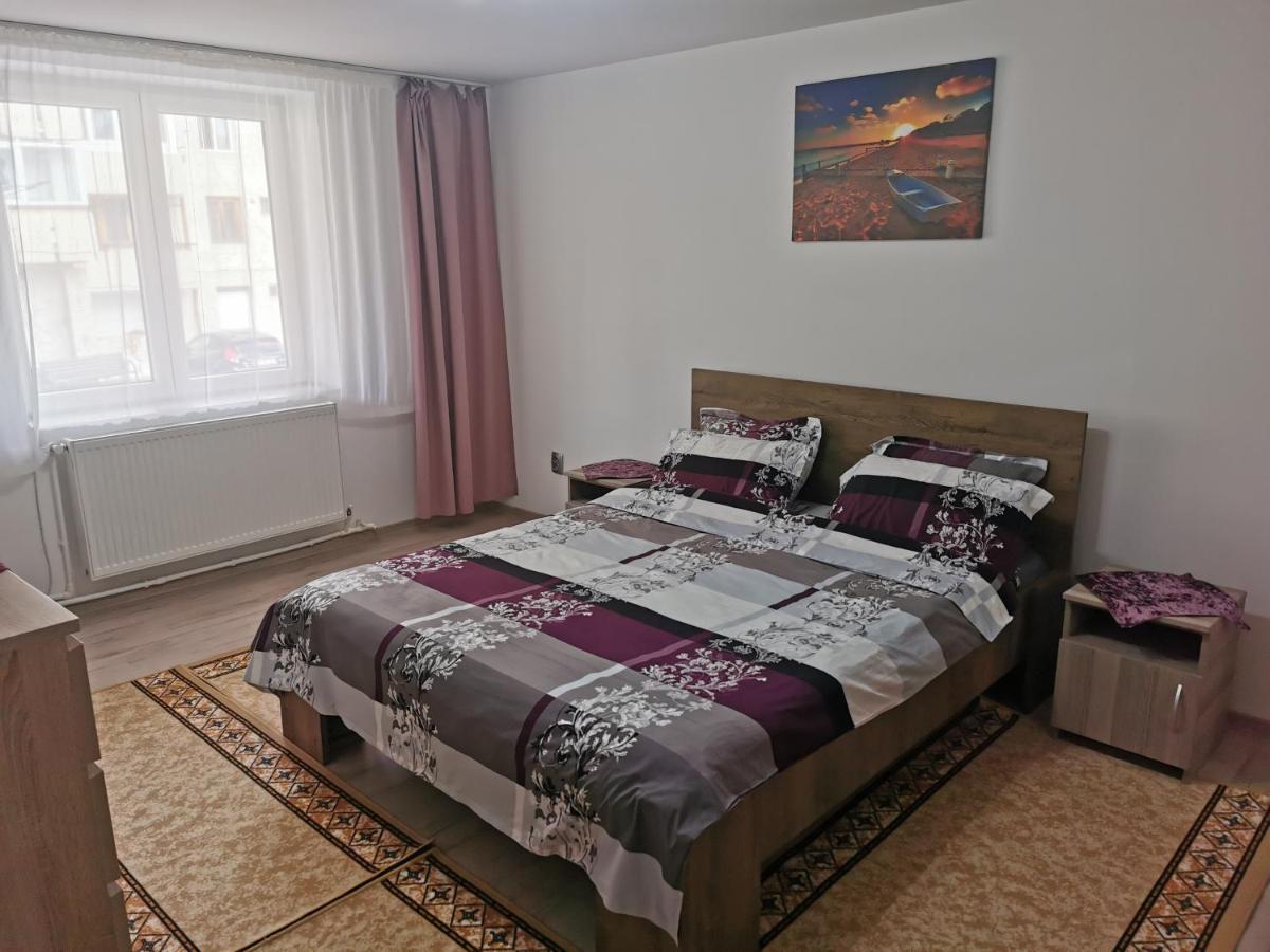 Apartament Bucovina Câmpulung Moldovenesc Exterior foto
