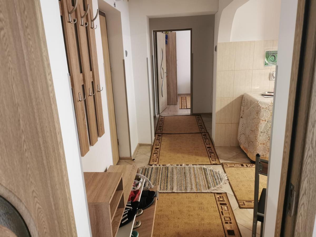 Apartament Bucovina Câmpulung Moldovenesc Exterior foto