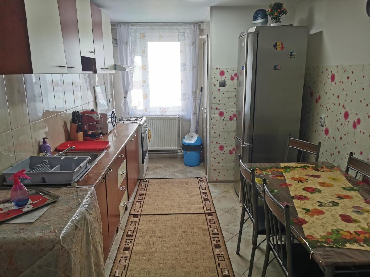 Apartament Bucovina Câmpulung Moldovenesc Exterior foto